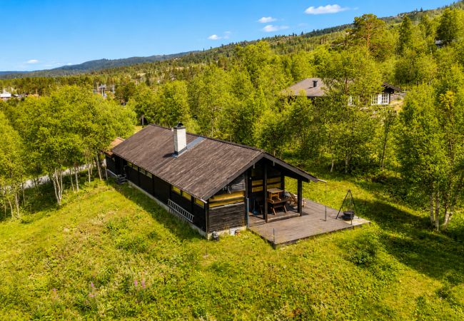 Hytte i Hol - Ski in/ski out på Geilo – Komfortabel hytte i Vestlia med 3 soverom
