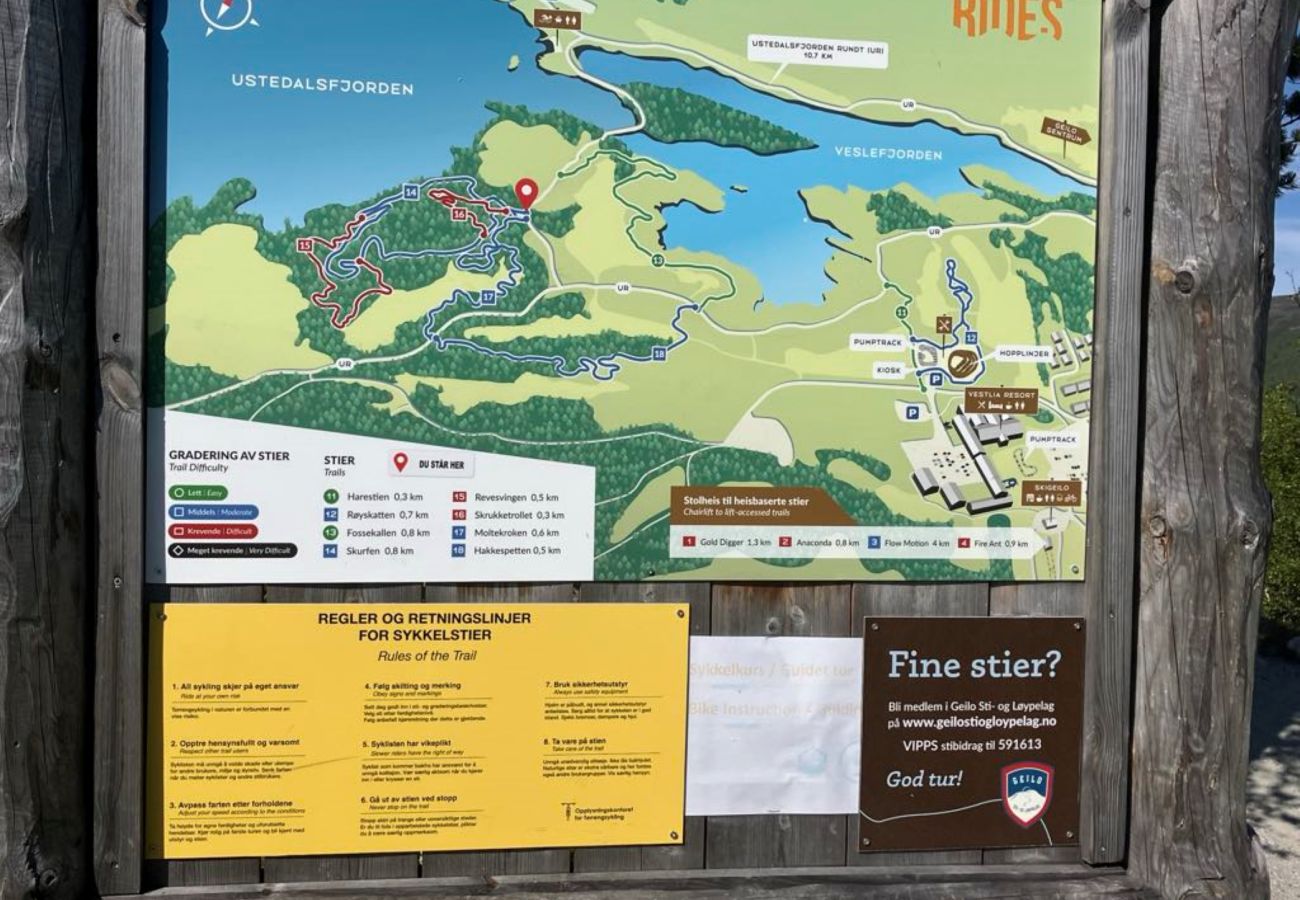 Hytte i Hol - Ski in/ski out på Geilo – Komfortabel hytte i Vestlia med 3 soverom