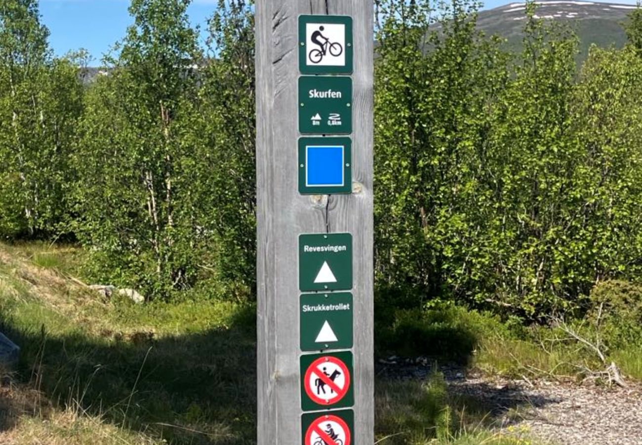 Hytte i Hol - Ski in/ski out på Geilo – Komfortabel hytte i Vestlia med 3 soverom