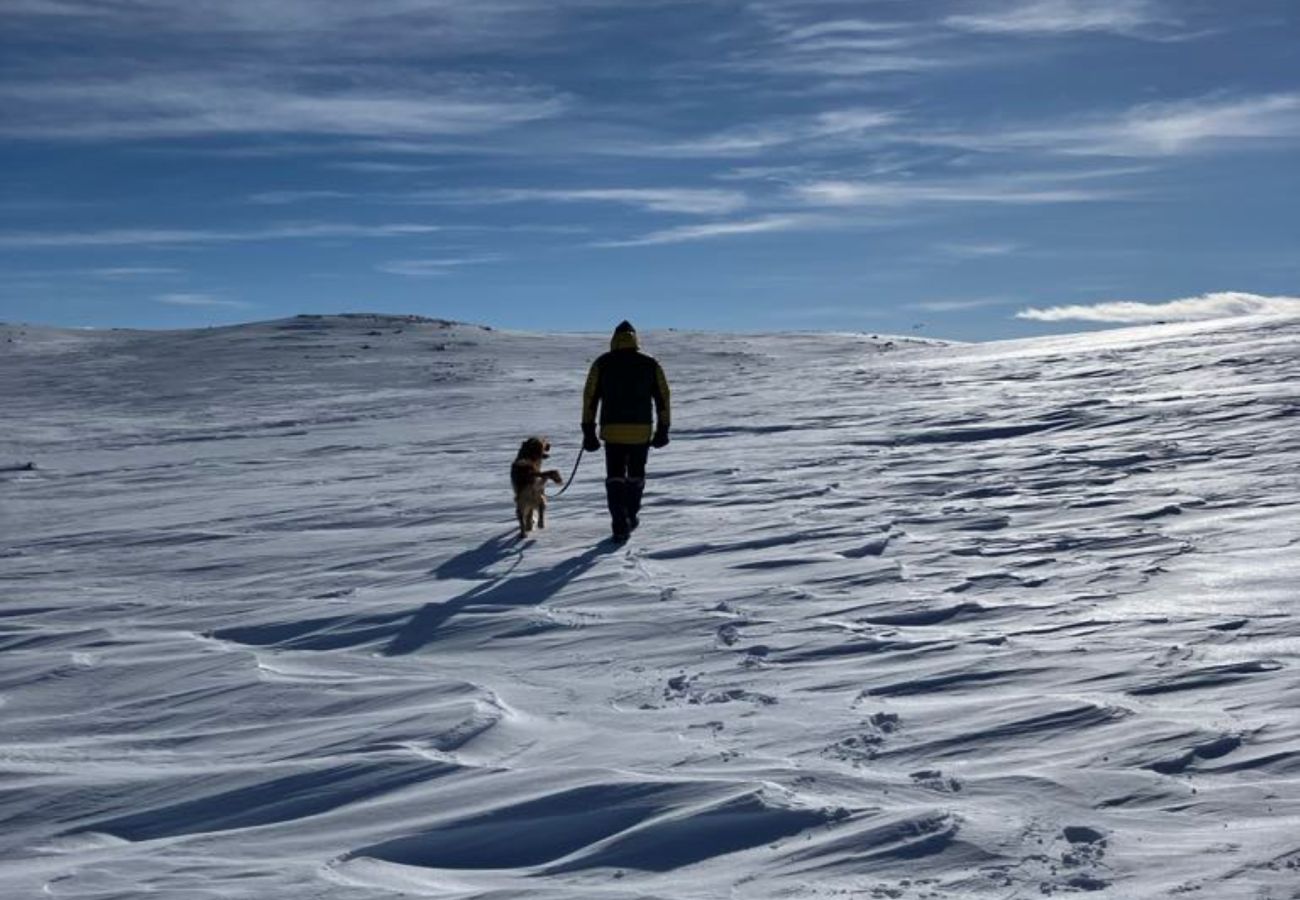 Hytte i Hol - Ski in/ski out på Geilo – Komfortabel hytte i Vestlia med 3 soverom