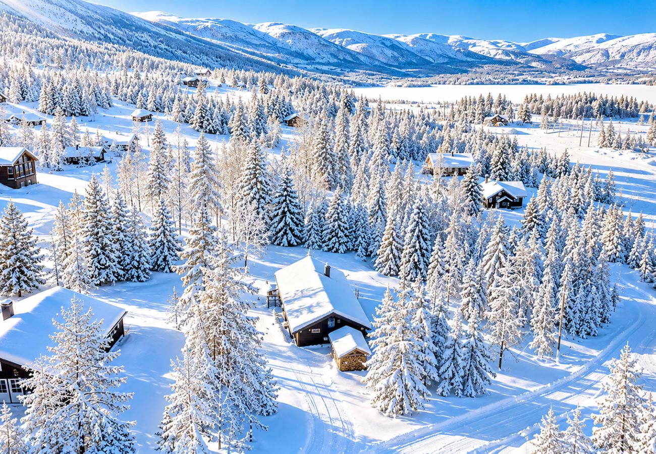 Hytte i Hol - Ski in/ski out på Geilo – Komfortabel hytte i Vestlia med 3 soverom