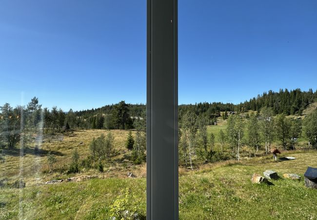 Hytte i Gol - Bjørnebo, Family cabin Hytte i Gol - Bjørnebo, Family cabin