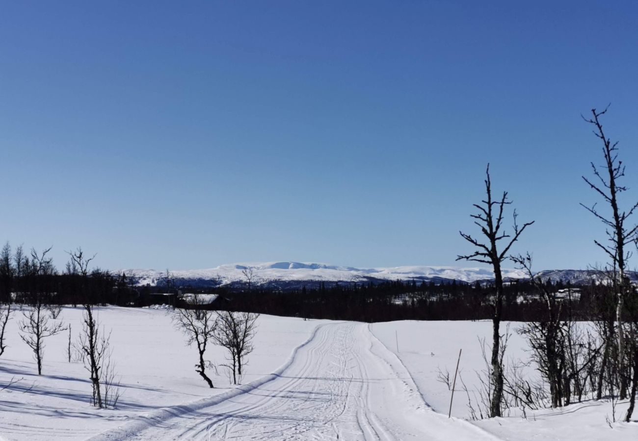 Hytte i Gol - Bjørnebo, Family cabin