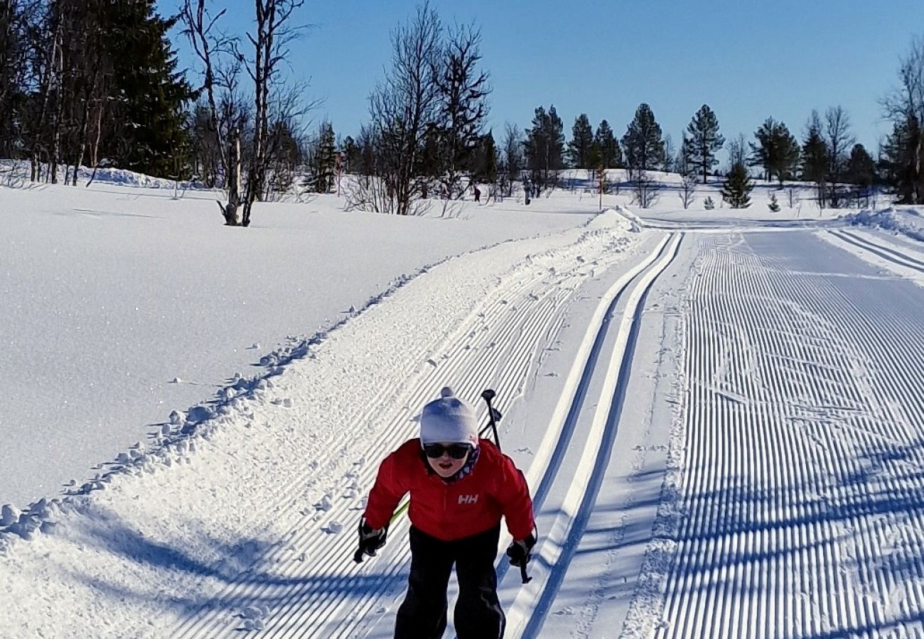 Hytte i Gol - Bjørnebo, Family cabin