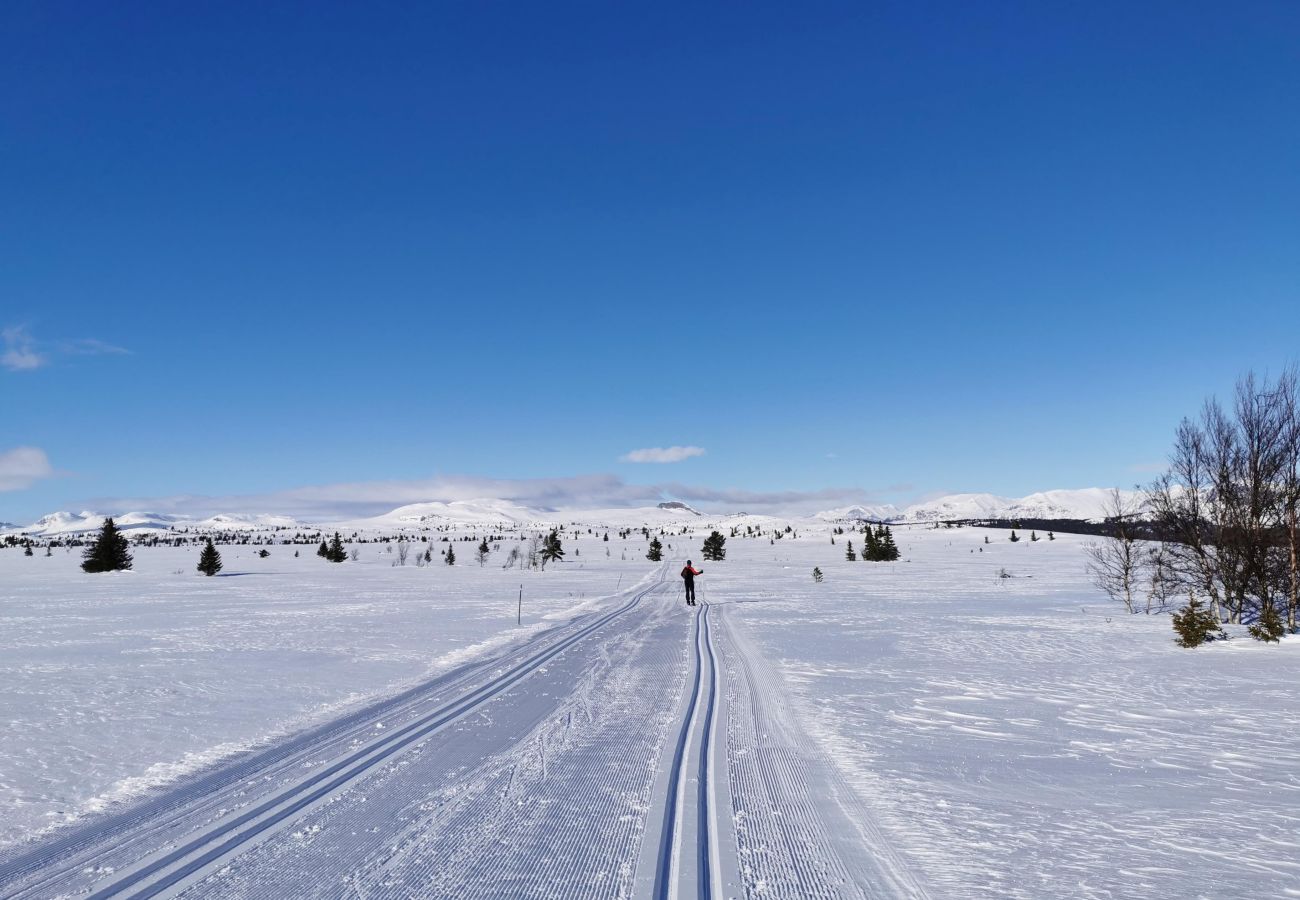 Hytte i Gol - Bjørnebo, Family cabin