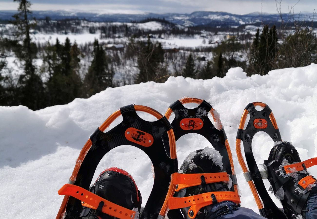 Hytte i Gol - Bjørnebo, Family cabin
