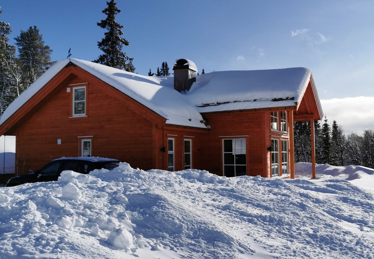 Hytte i Gol - Bjørnebo, Family cabin