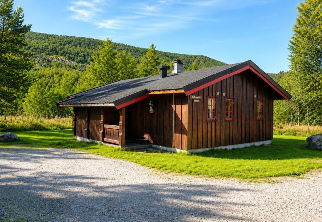Hytte i Hol - Tvilsombu, cosy cabin close to ski slopes