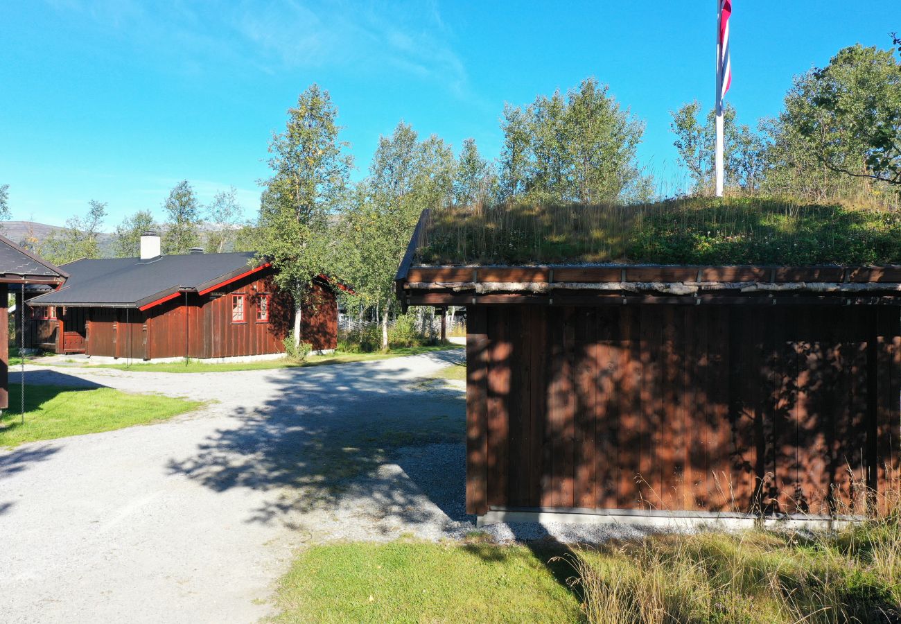 Hytte i Hol - Tvilsombu, cosy cabin close to ski slopes