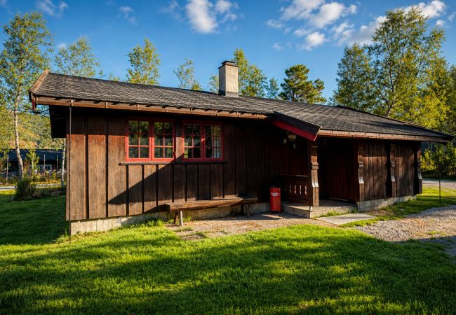 Hytte i Hol - Briskebu, cosy cabin by ski slopes