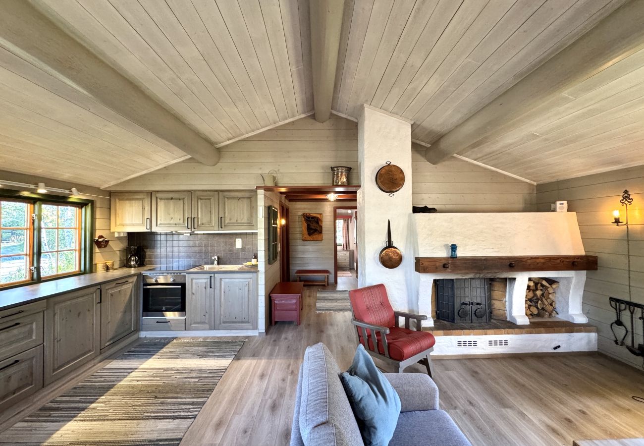Hytte i Hol - Briskebu, cosy cabin by ski slopes