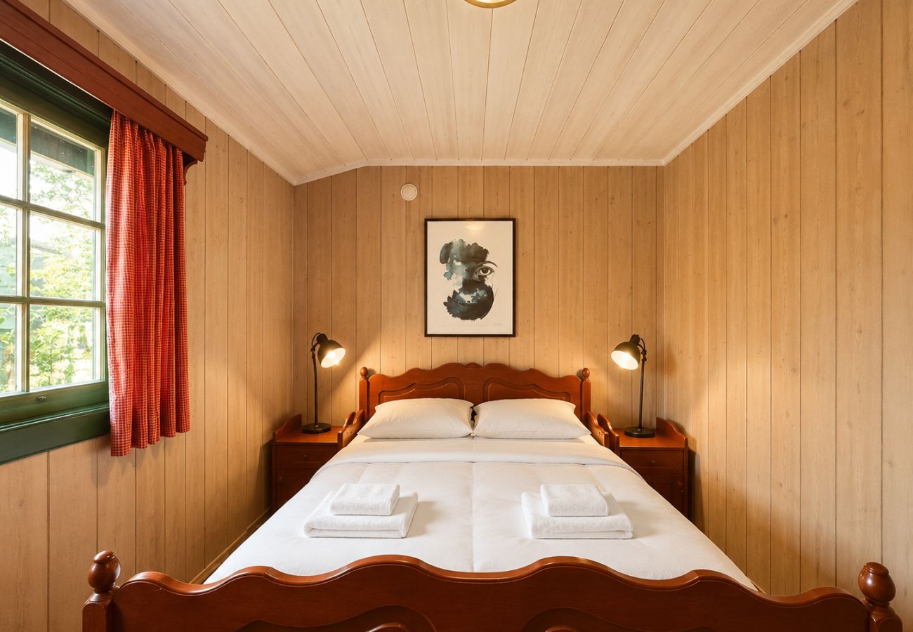 Hytte i Hol - Briskebu, cosy cabin by ski slopes