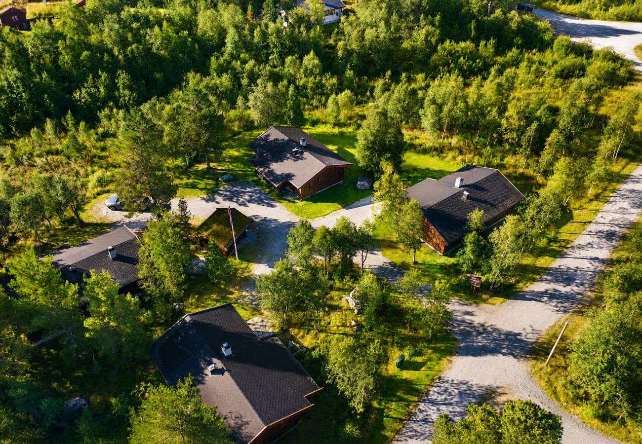 Hytte i Hol - Briskebu, cosy cabin by ski slopes