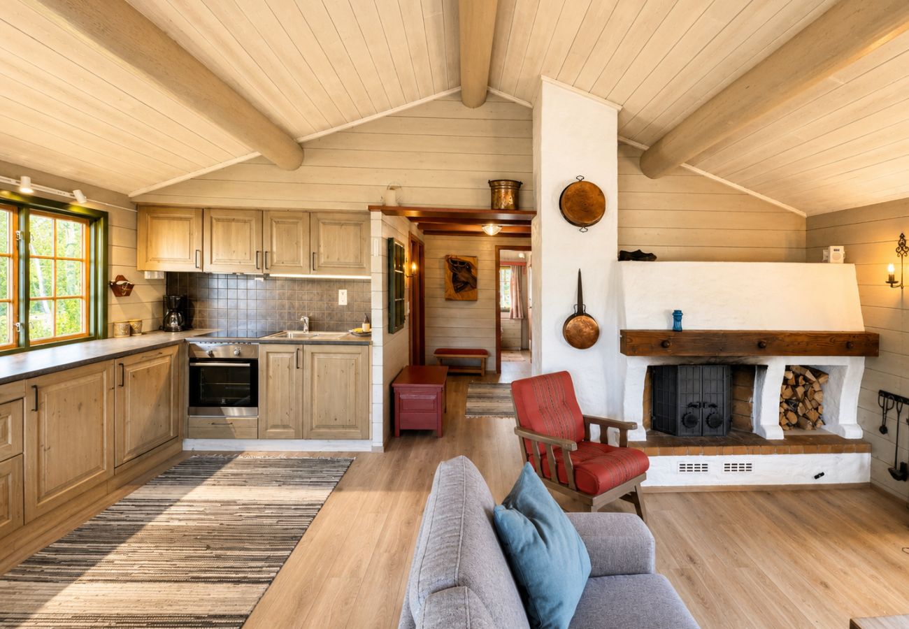Hytte i Hol - Briskebu, cosy cabin by ski slopes