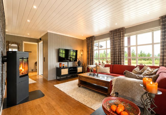Leilighet i Hol - Cosy apartment in Vestlia, Geilo