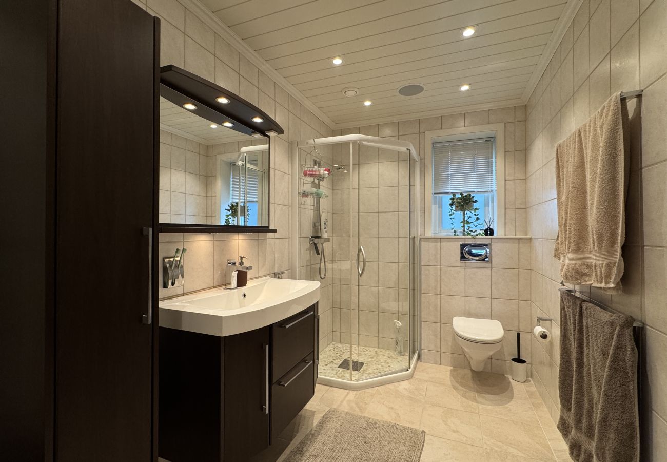 Leilighet i Hol - Cosy apartment in Vestlia, Geilo