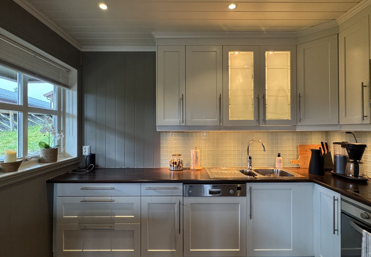 Leilighet i Hol - Cosy apartment in Vestlia, Geilo