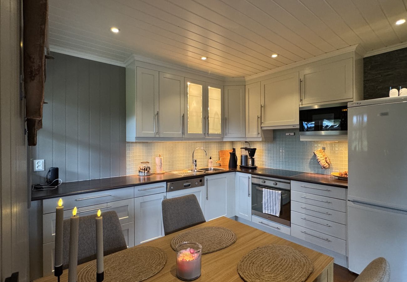 Leilighet i Hol - Cosy apartment in Vestlia, Geilo
