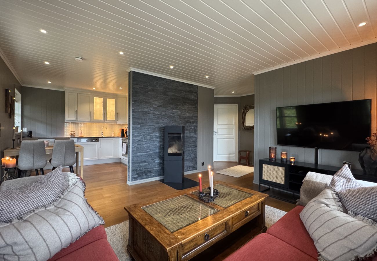 Leilighet i Hol - Cosy apartment in Vestlia, Geilo