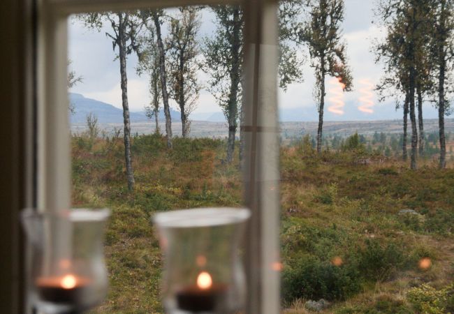 Hytte i Gol - Nydelig hyttetun på Torpoåsen Hytte i Gol - Nydelig hyttetun på Torpoåsen