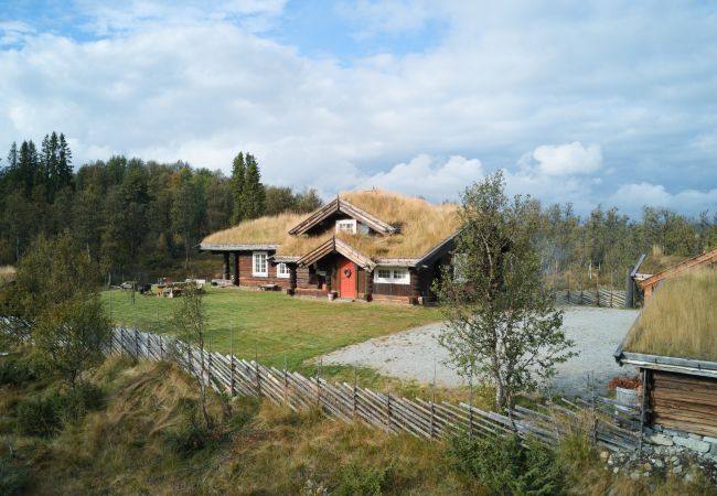 Hytte i Gol - Nydelig hyttetun på Torpoåsen Hytte i Gol - Nydelig hyttetun på Torpoåsen