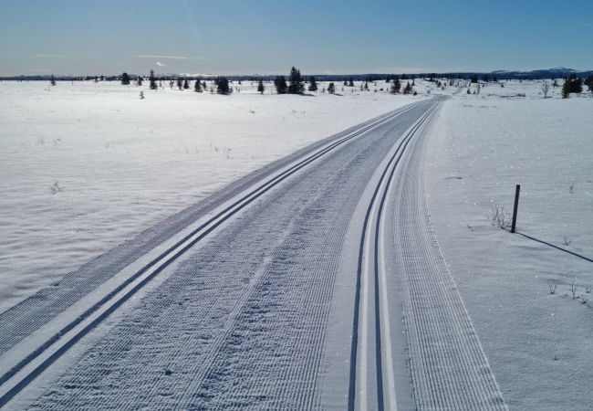 Hytte i Gol - Nydelig hyttetun på Torpoåsen Hytte i Gol - Nydelig hyttetun på Torpoåsen