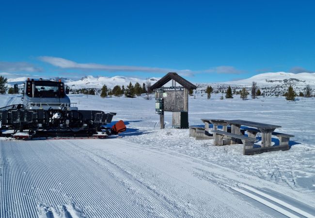 Hytte i Gol - Nydelig hyttetun på Torpoåsen Hytte i Gol - Nydelig hyttetun på Torpoåsen