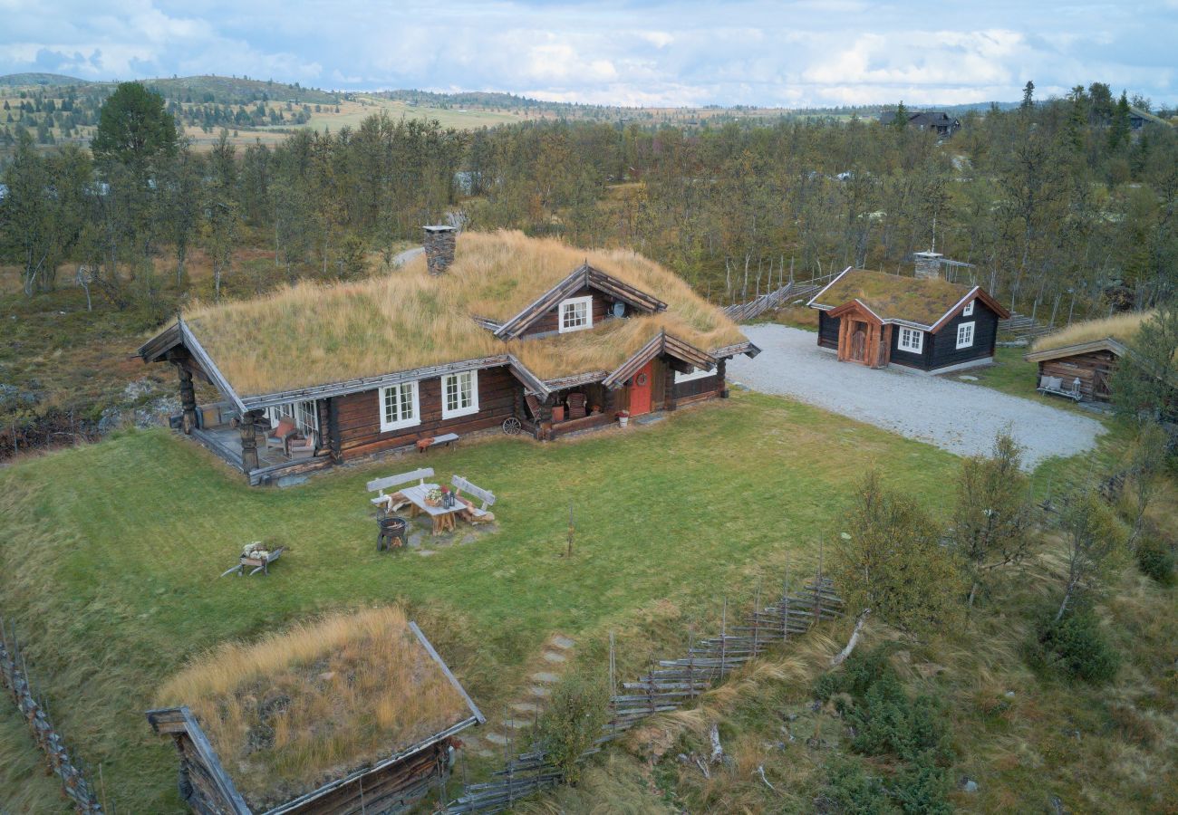 Hytte i Gol - Nydelig hyttetun på Torpoåsen