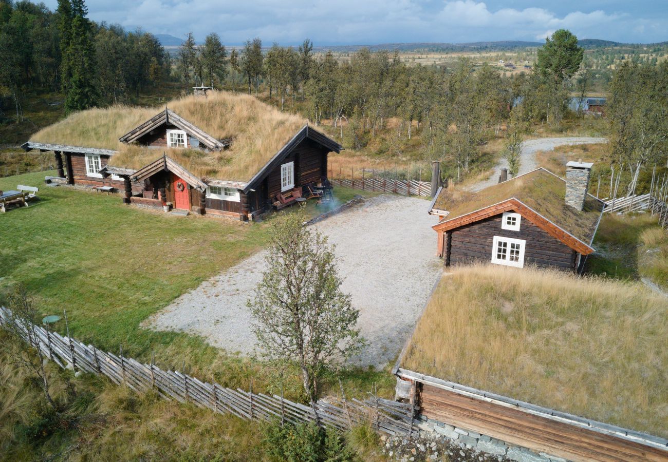 Hytte i Gol - Nydelig hyttetun på Torpoåsen