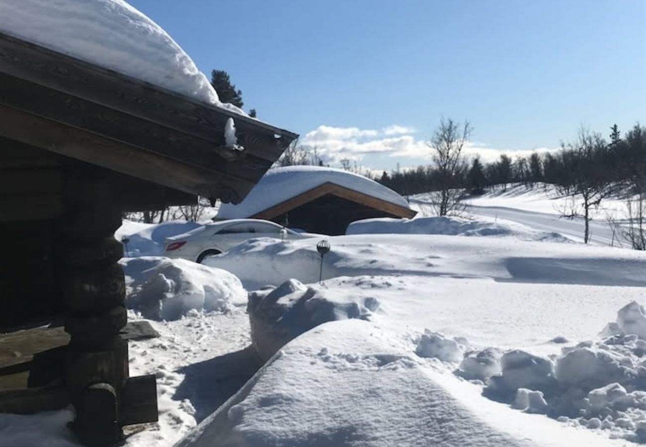 Hytte i Gol - Nydelig hyttetun på Torpoåsen
