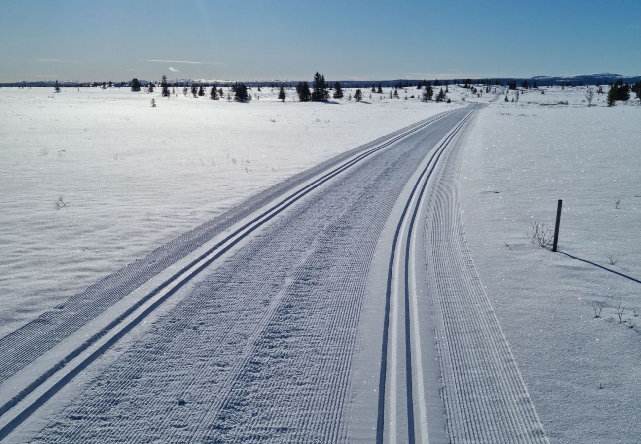 Hytte i Gol - Nydelig hyttetun på Torpoåsen