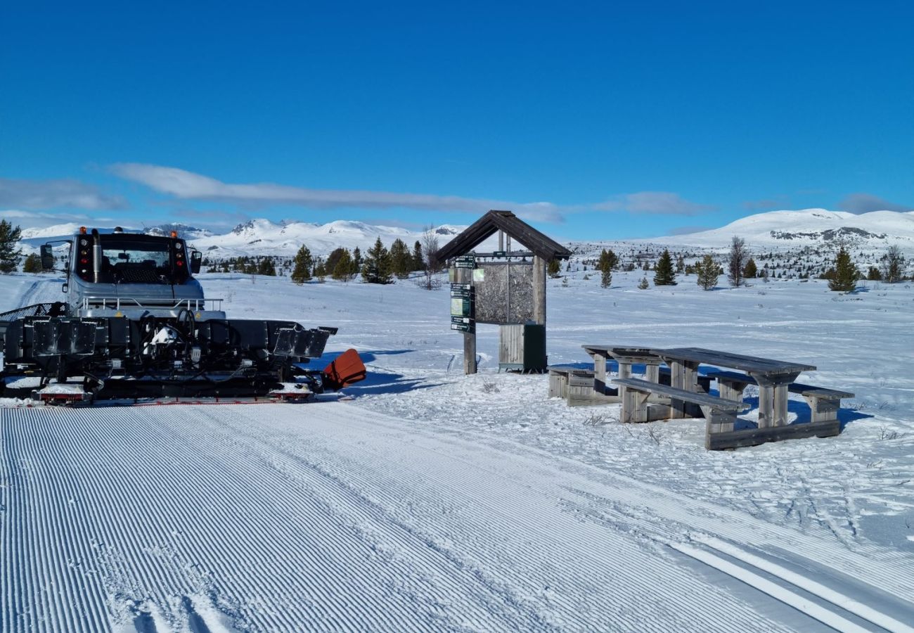 Hytte i Gol - Nydelig hyttetun på Torpoåsen