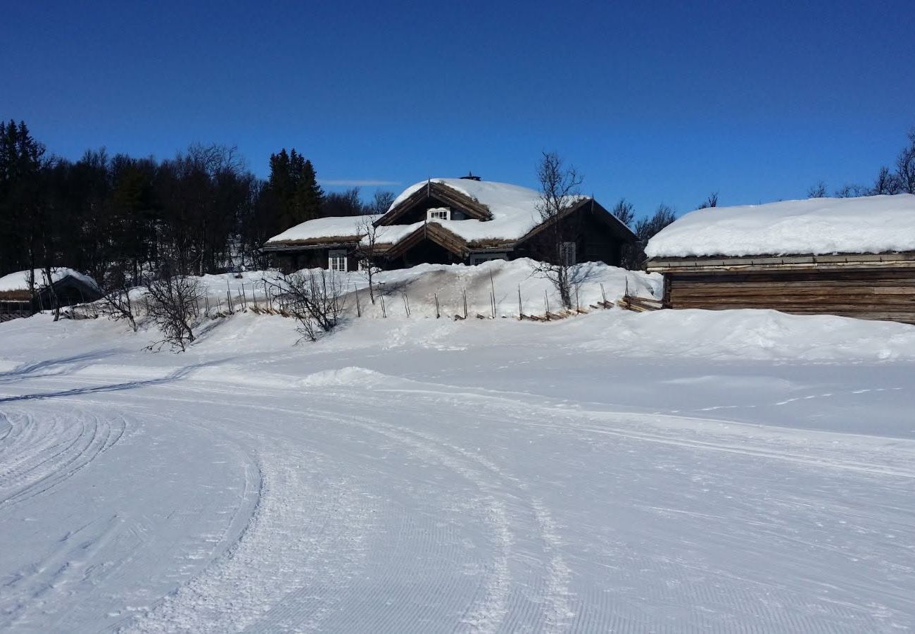 Hytte i Gol - Nydelig hyttetun på Torpoåsen