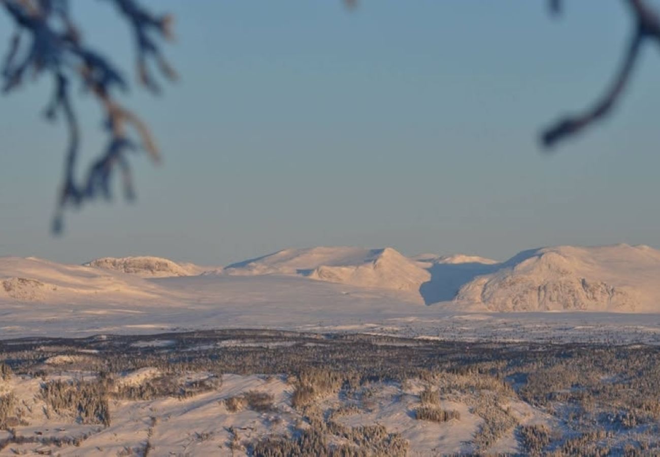 Hytte i Gol - Nydelig hyttetun på Torpoåsen