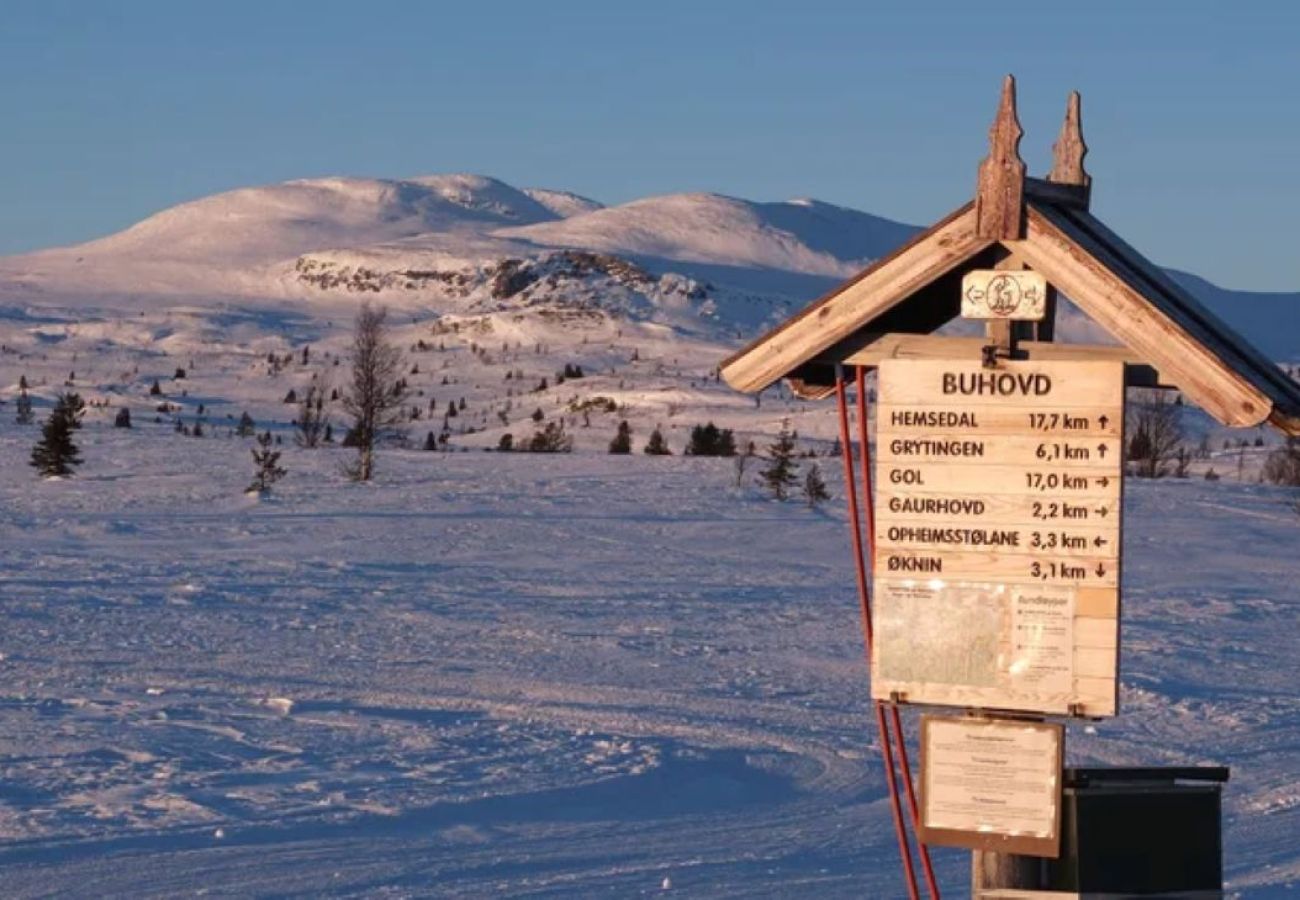 Hytte i Gol - Nydelig hyttetun på Torpoåsen