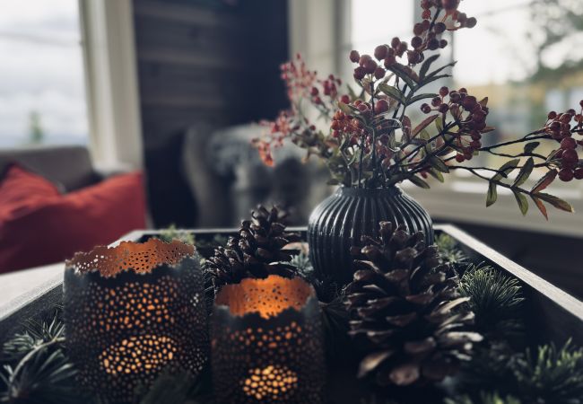 Hytte i Gol - Spacious cabin in the mountains Hytte i Gol - Spacious cabin in the mountains