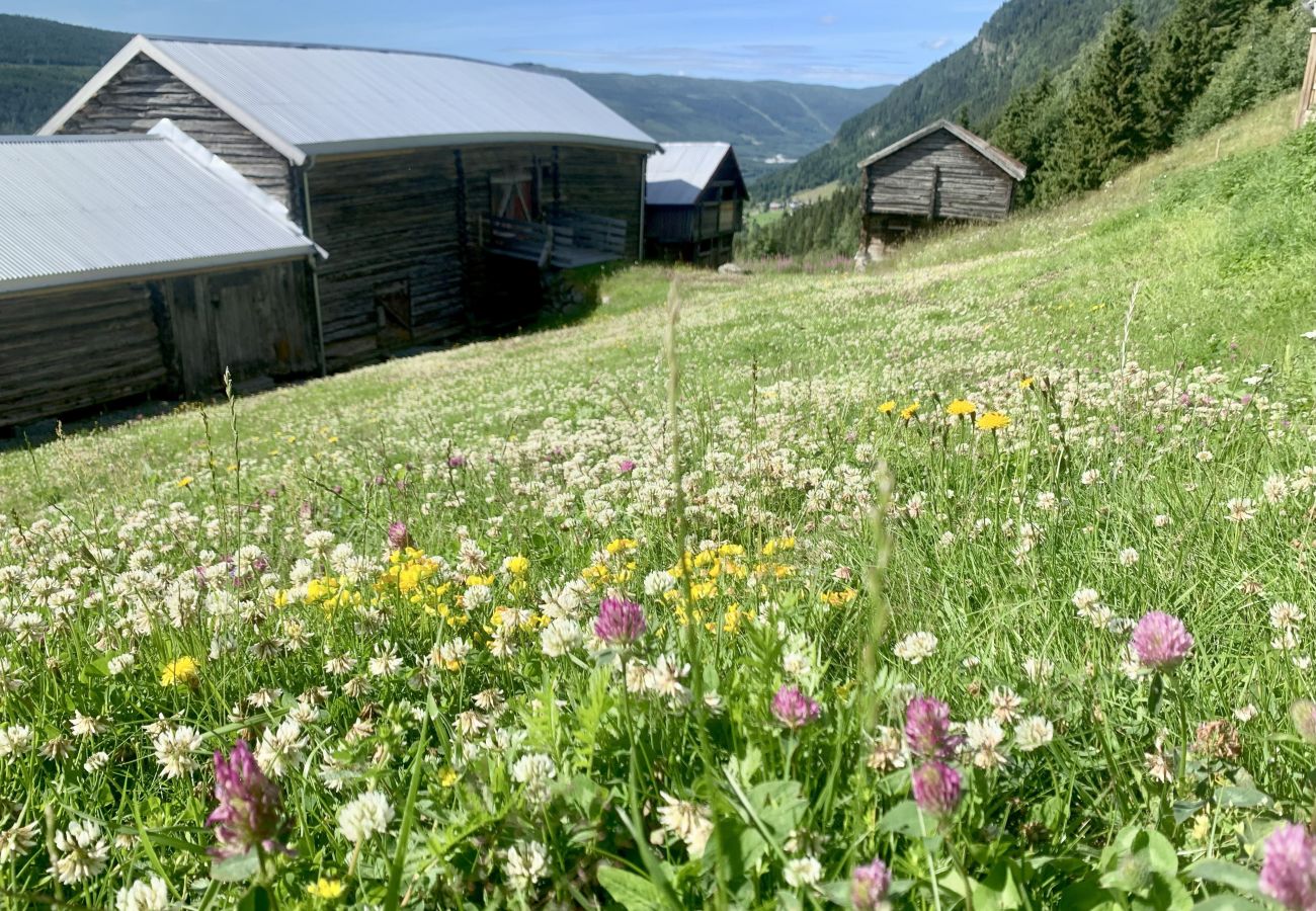 Hus i Ål - Tolleivsgarden, Ål-house with amazing view