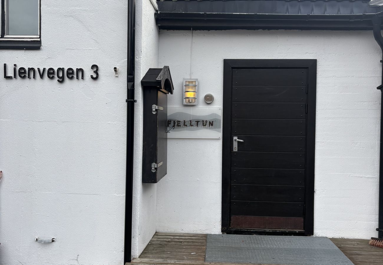 Leilighet i Hol - Central Apartment in Geilo