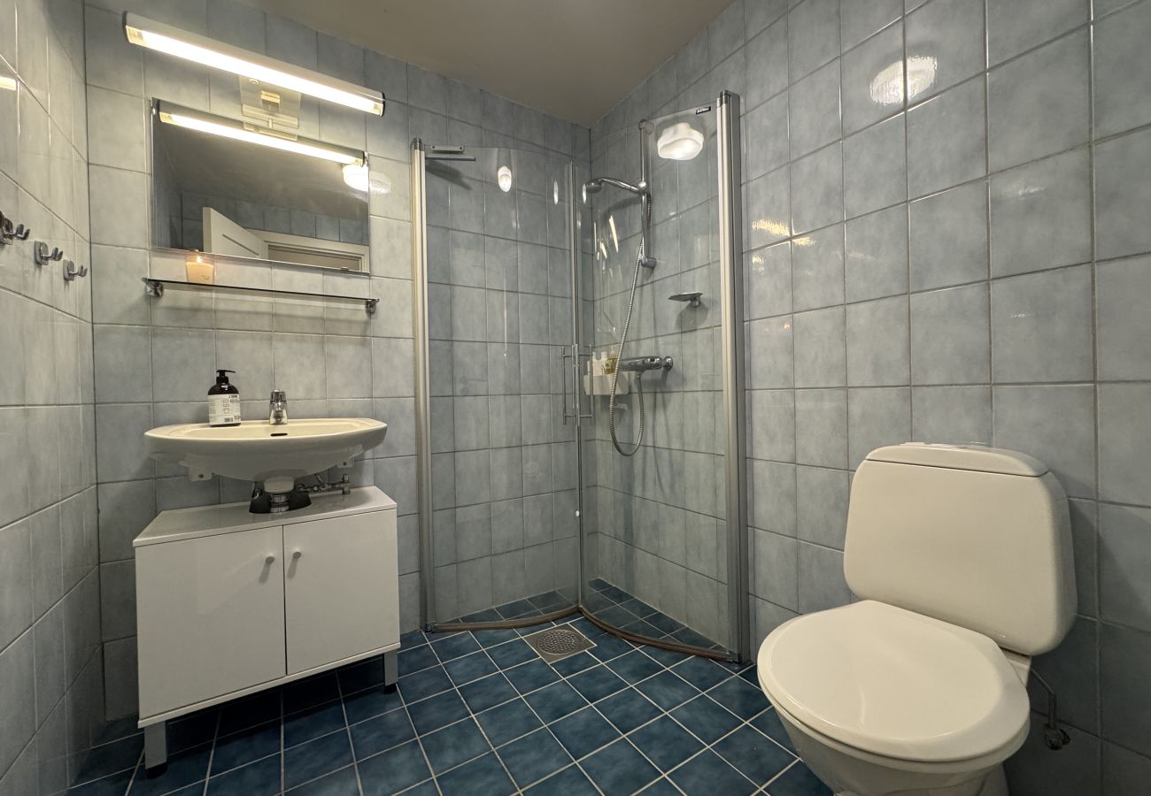 Leilighet i Hol - Central Apartment in Geilo