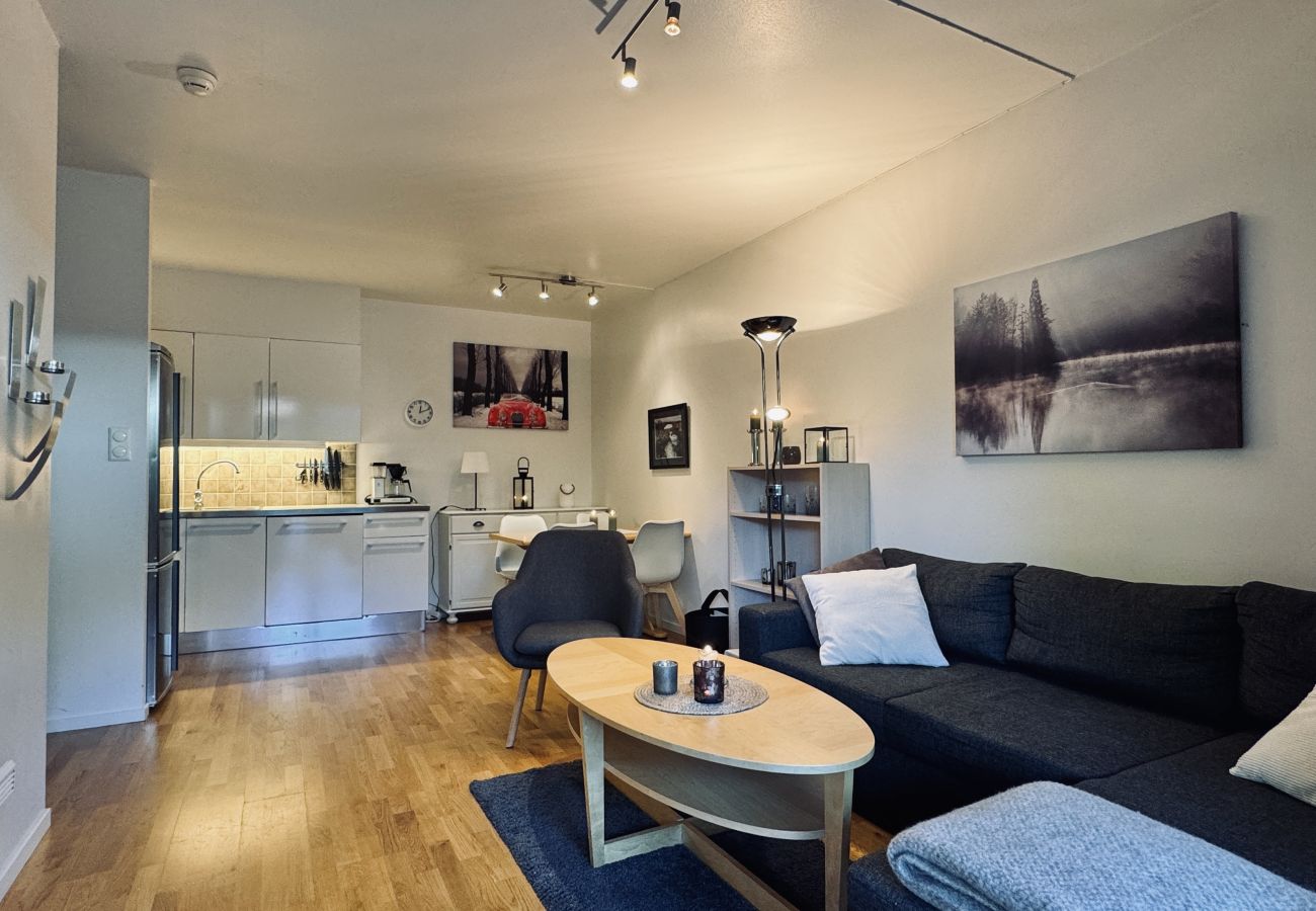Leilighet i Hol - Central Apartment in Geilo