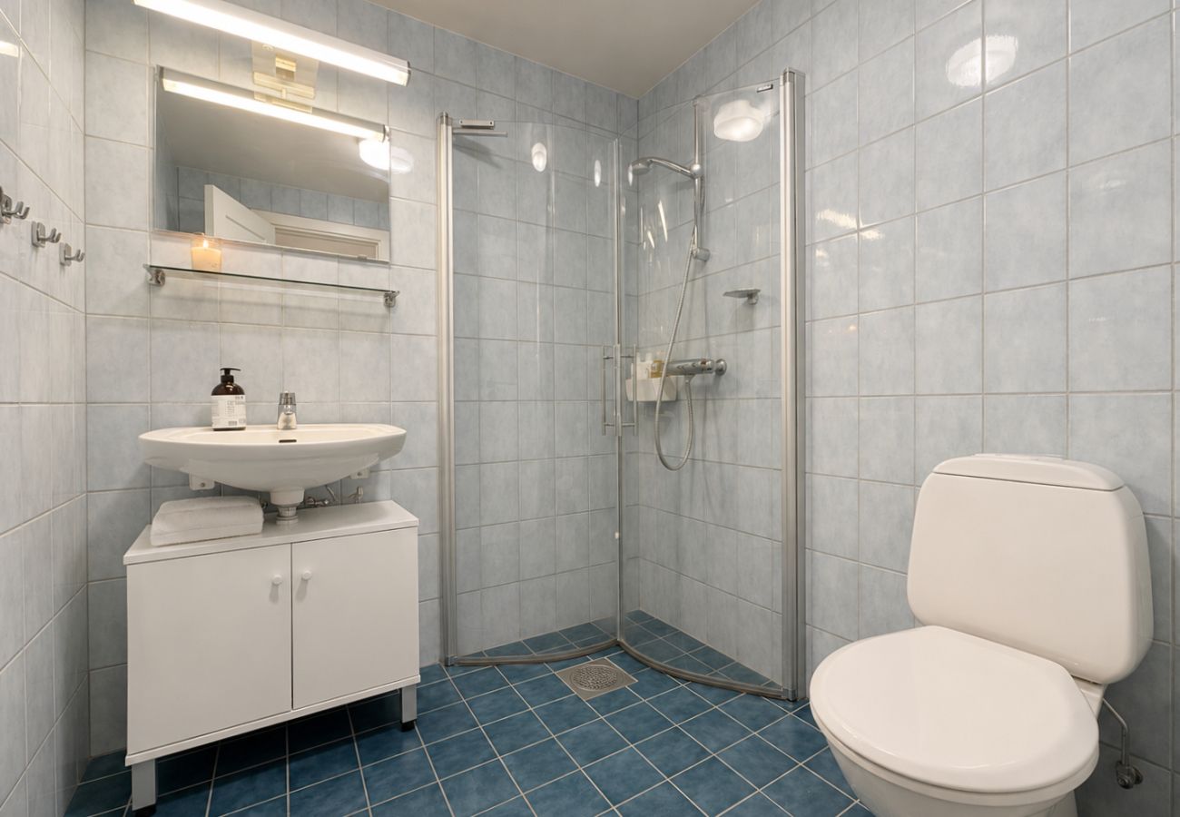 Leilighet i Hol - Central Apartment in Geilo