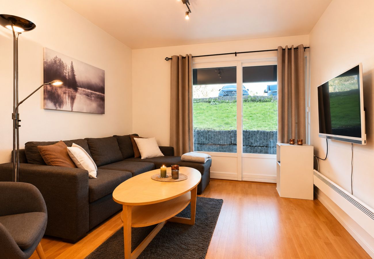 Leilighet i Hol - Central Apartment in Geilo