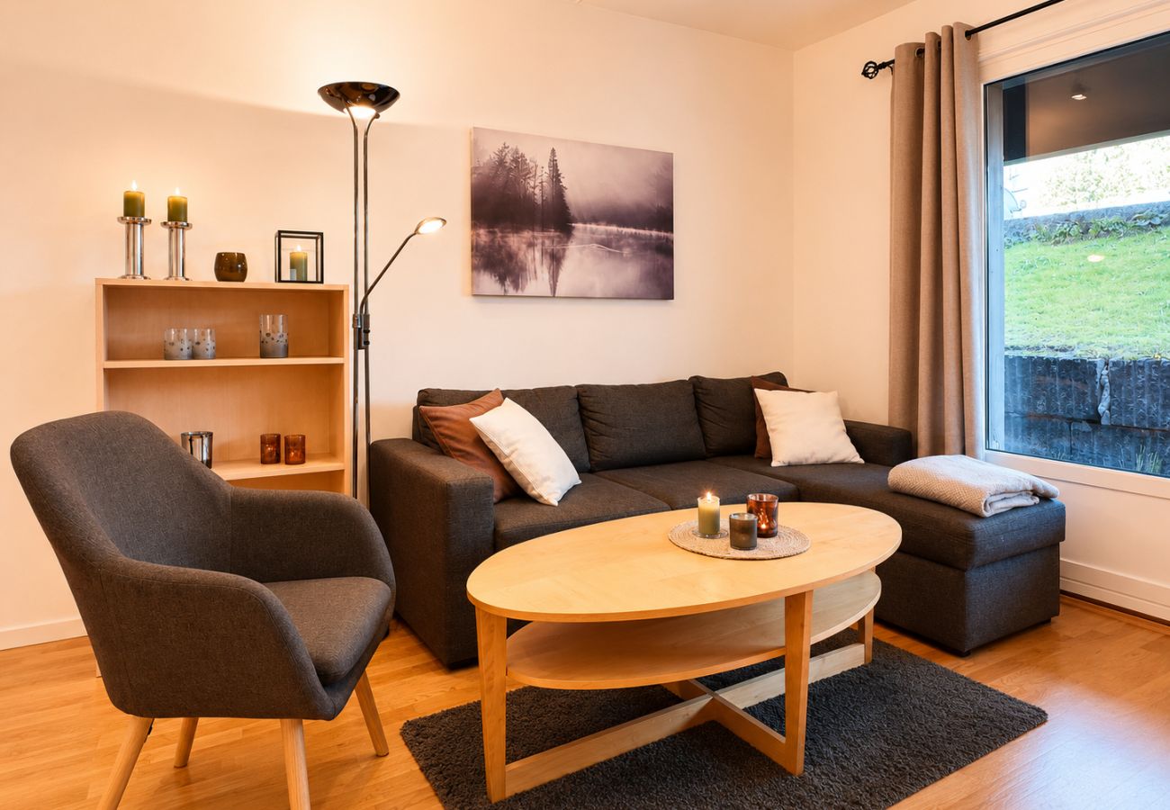 Leilighet i Hol - Central Apartment in Geilo