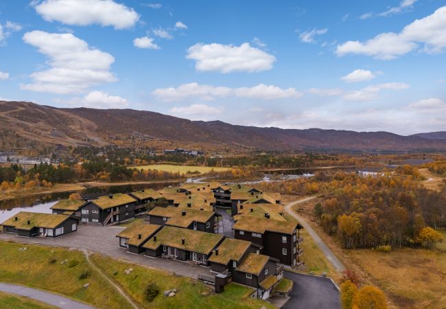 Leilighet i Hol - Geilotunet Apartment Leilighet i Hol - Geilotunet Apartment