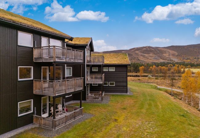 Leilighet i Hol - Geilotunet Apartment Leilighet i Hol - Geilotunet Apartment