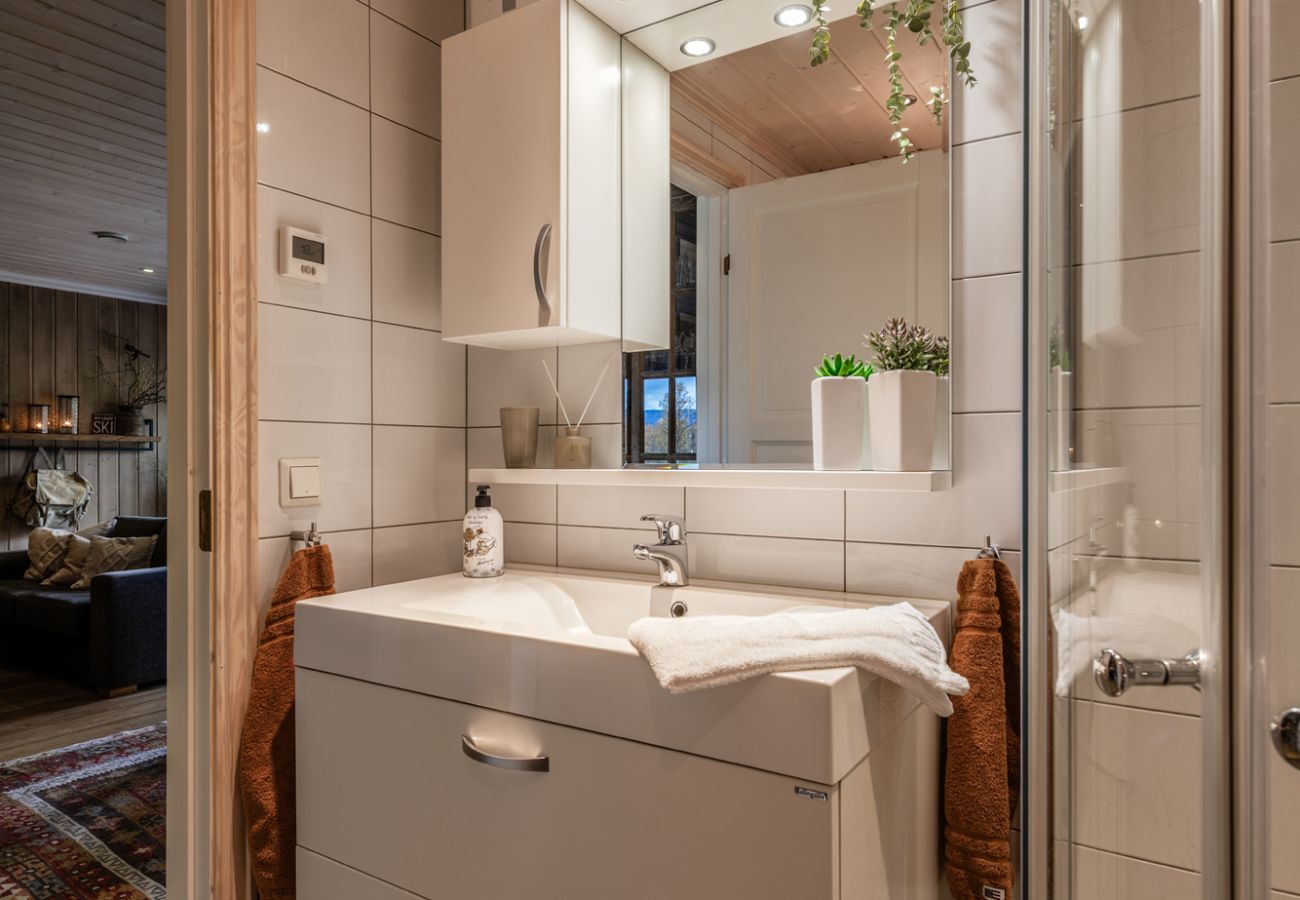 Leilighet i Hol - Geilotunet Apartment