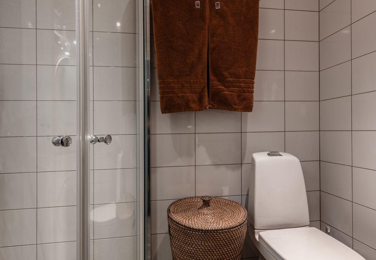 Leilighet i Hol - Geilotunet Apartment