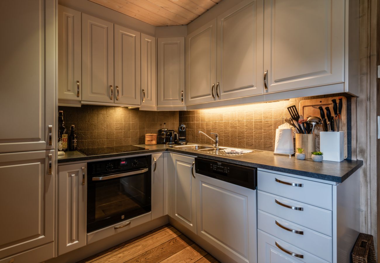 Leilighet i Hol - Geilotunet Apartment