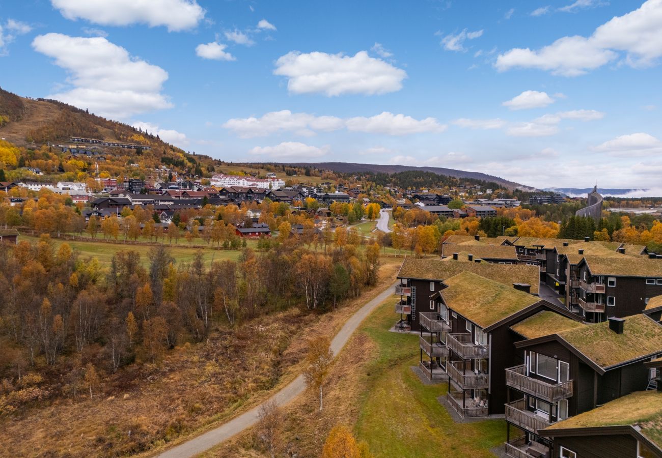 Leilighet i Hol - Geilotunet Apartment