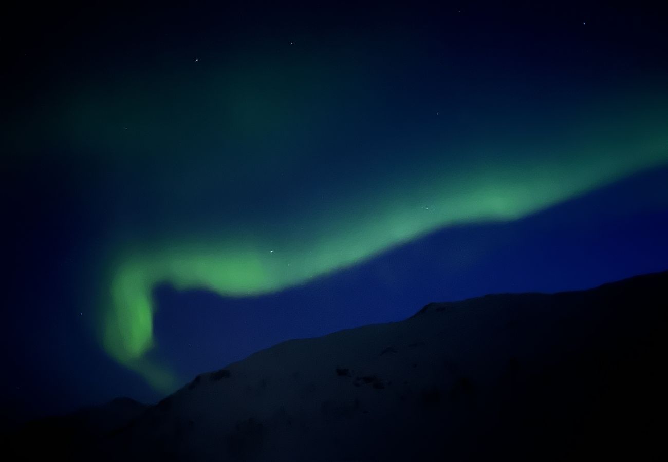 Hus i Senja - Fantastisk hus med sjøtomt i Gryllefjord